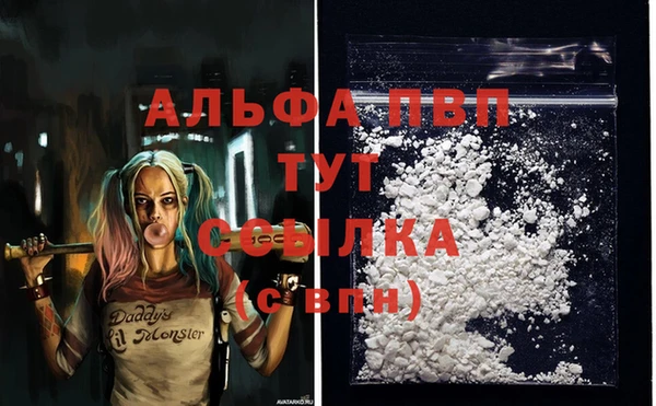 мяу мяу мука Костерёво