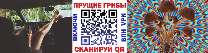 Галлюциногенные грибы GOLDEN TEACHER  Купить где  Бобров 