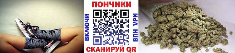 Купить где  Бобров  Канабис семена 